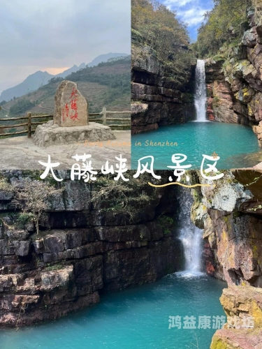 探索在线亚洲日本，文化、科技与旅游的完美融合亚洲在一