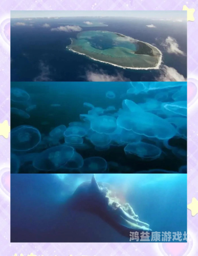 久久精品免费全国观看国产，探索国产影视作品的魅力与价值