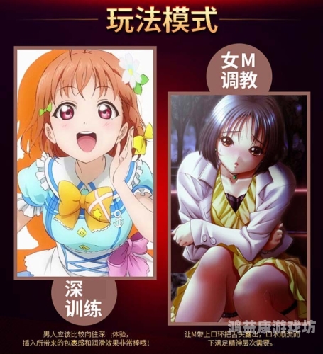 精品国产SM在线大全，探索国内优质SM内容平台精品国产sm在线大全观看