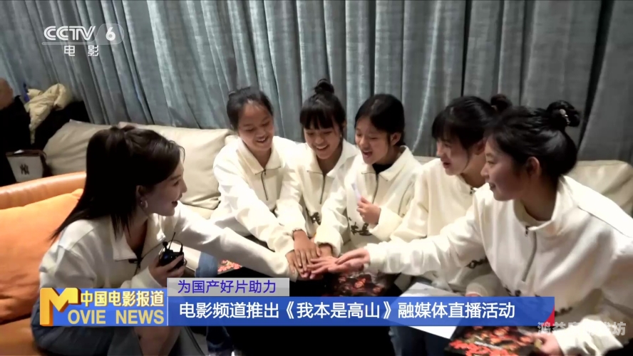 好屌妞免费国产精品视频 好屌妞免费国产精品视频，探索国产影视作品的崛起与未来