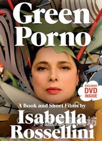 国产精品性爱一级视频，探讨网络内容监管与用户责任