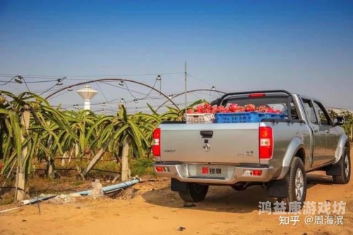 婷婷夜夜人人六月，揭秘网络热词背后的社会现象与文化解读