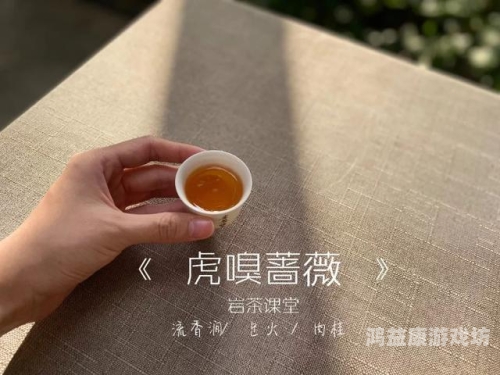 久久重口味免费视频久久重口味免费视频，网络内容监管与用户责任的双重挑战