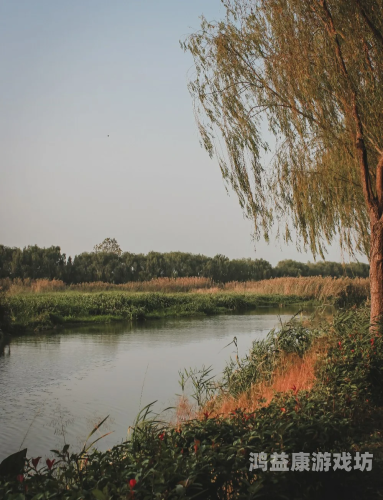 久久久青草青青亚洲国产免观久久久青草青青亚洲国产免观，探索亚洲自然风光的无限魅力