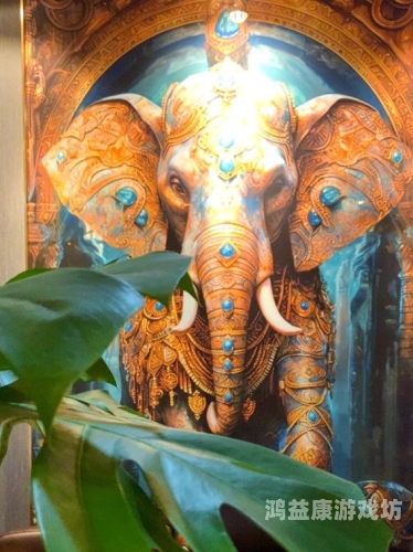 不卡精品视频福利，畅享高清流畅观影体验