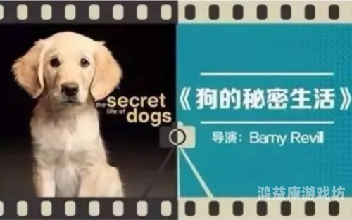 久久这里有精品久久这里有精品，探索高品质生活的秘密