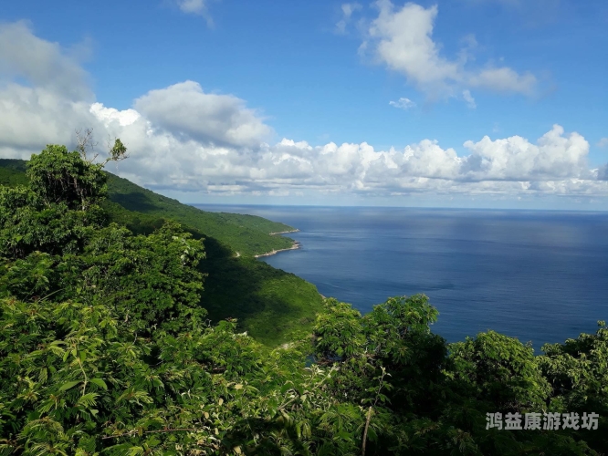亚洲天堂无码在线亚洲天堂无码在线，探索数字时代的隐私与安全挑战