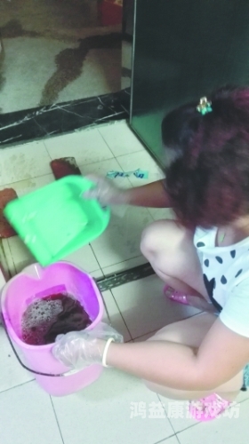 揭秘欧美另类在线视频，变态口味背后的文化现象与心理分析变态视频而且很变