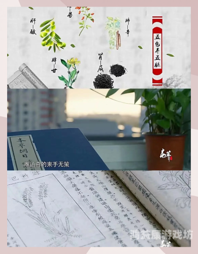 中文字字幕国产精品中文字字幕国产精品，探索中国影视作品的独特魅力