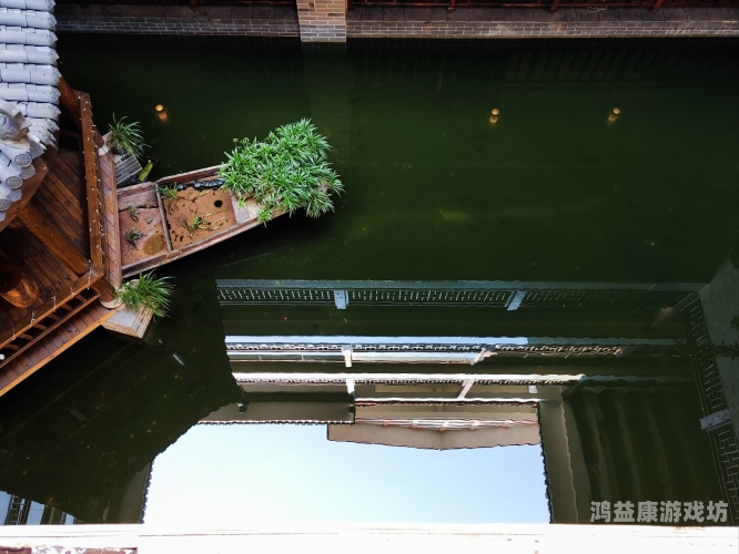 探索全球视觉艺术，欧美、亚洲及另类色图专区的文化差异与艺术表达亚欧款色