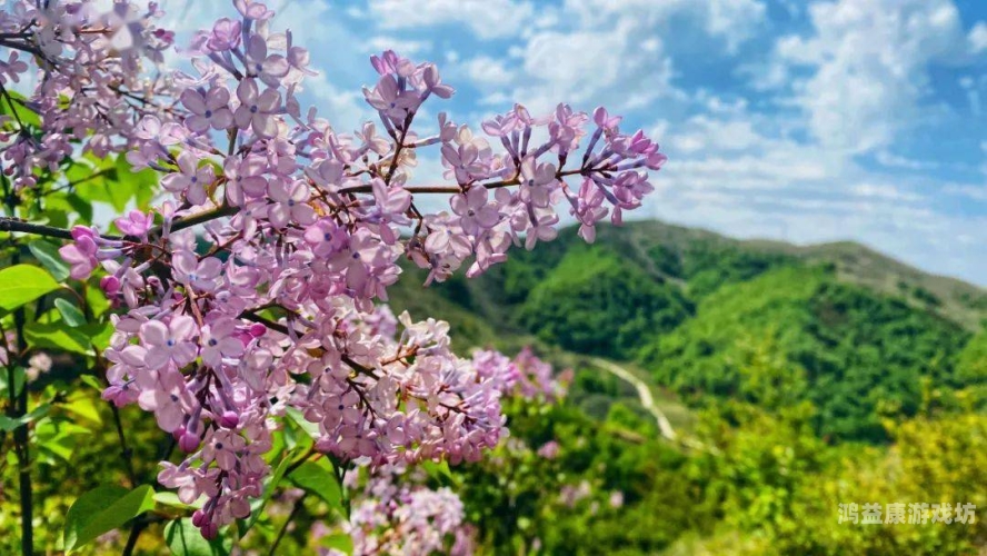 色A在线免弗看五月丁香五月丁香盛放，色A在线免费观赏指南