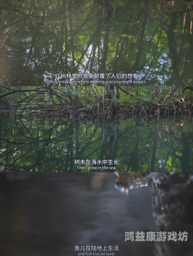 亚洲高清国产拍精品青青草原亚洲高清国产拍精品青青草原，探索自然与文化的完美融合