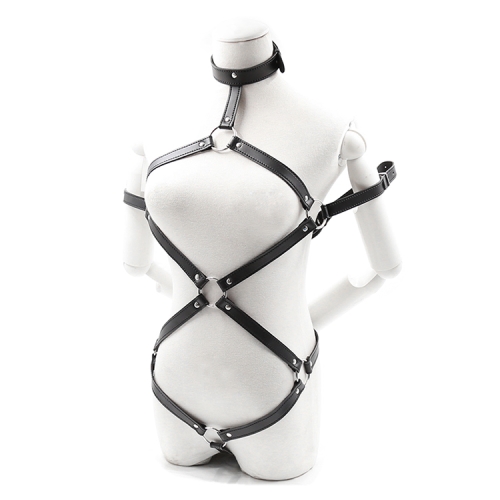 亚洲另类sm视频在线观看亚洲另类SM视频在线观看，探索与反思