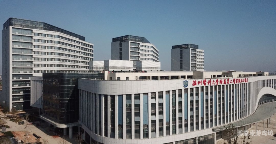 日韩一二区，文化交流与经济合作的桥梁今天高清视频在线观看