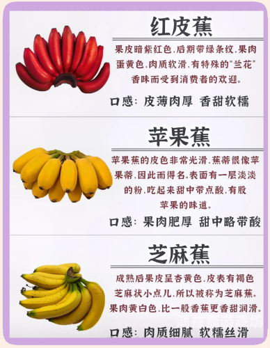 国产香蕉一区二区三区在线视频国产香蕉一区二区三区在线视频，行业现状、发展趋势与用户需求分析