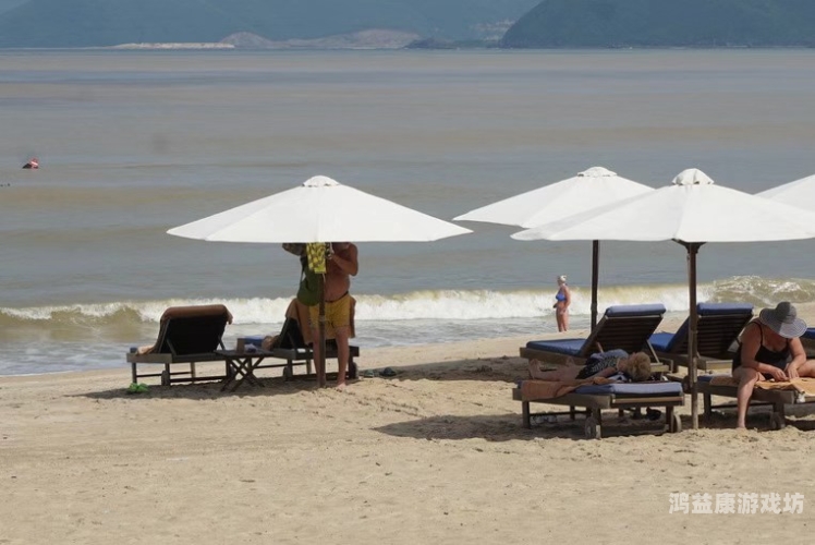 探索欧美老妇人在线社区的多元世界，一区、二区、三区的深度解析