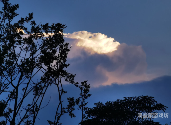 激情综合激情五月俺也去精品激情五月，探索精品生活——综合体验与深度推荐