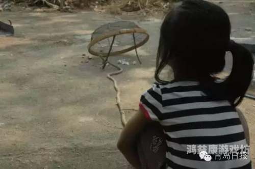 日韩无码一区精品，探索亚洲成人影片市场的独特魅力