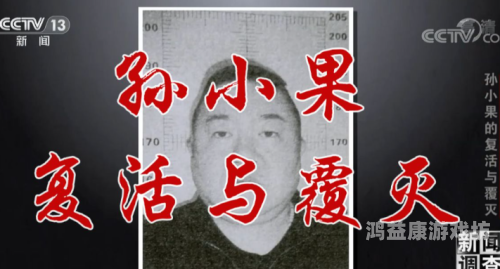 最新晚上碰碰精品视频，揭秘热门视频背后的故事与趋势