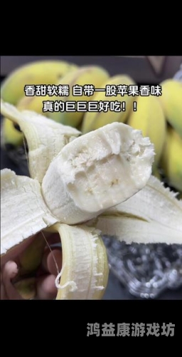 亚洲香蕉日本久久亚洲香蕉日本久久，一场跨越千里的水果贸易传奇