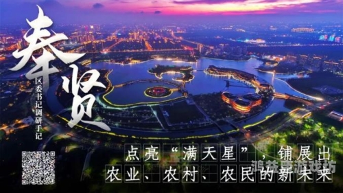 精品综合一区二区三区，深度解析与未来发展展望 一区二区