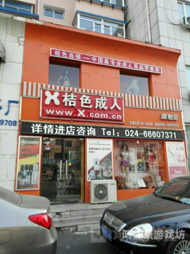 亚洲国产精品成人综合色在线婷婷，探索与反思可以润色的网站有哪些