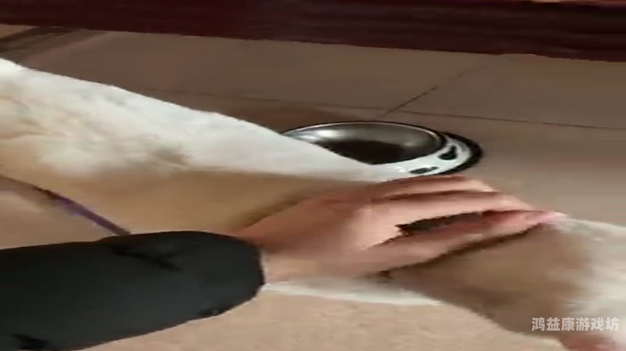 久久午夜鲁丝电影，深度解析与观影指南