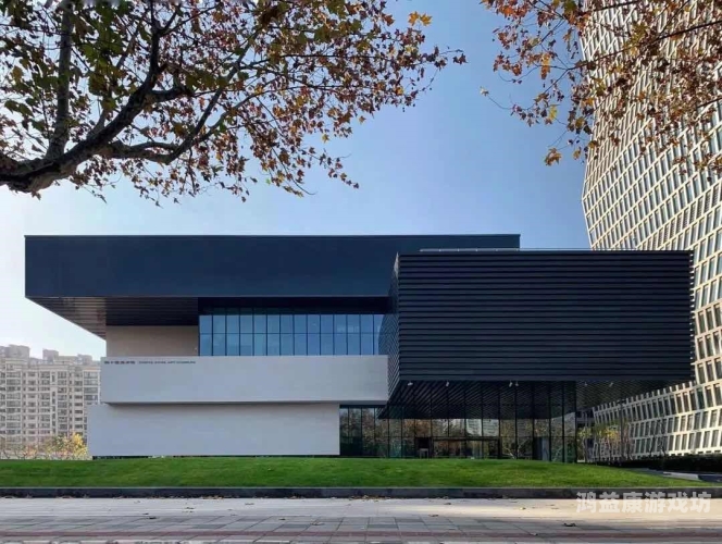 2022年国内精品自线拍摄技术解析，为何能够实现不卡顿的流畅体验？