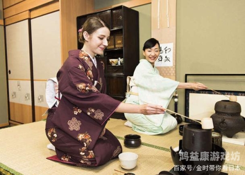 日本熟妇人妻视频，文化现象与社会影响深度解析