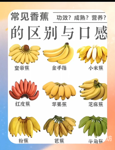 国产综合香蕉久久，品质与水蜜桃在线播放的完美结合国 产 成 人 综合