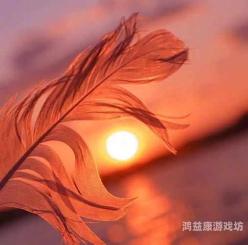 久久久激情精品，探索持久激情与品质生活的奥秘内心激情澎湃,久久不能平静