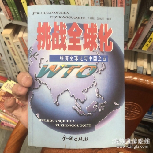 欧美日韩精品乱国产538，全球化背景下的文化交融与挑战欧美日韩精品乱国产538_