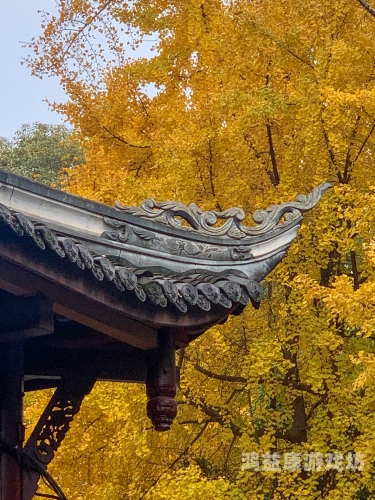 亚洲精品一线天粉嫩白浆亚洲精品一线天粉嫩白浆，探索自然奇观与文化遗产的完美结合