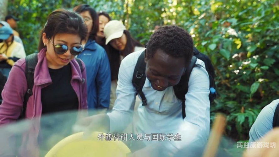 97爱亚洲综合在线观看，探索亚洲影视文化的魅力与多样性