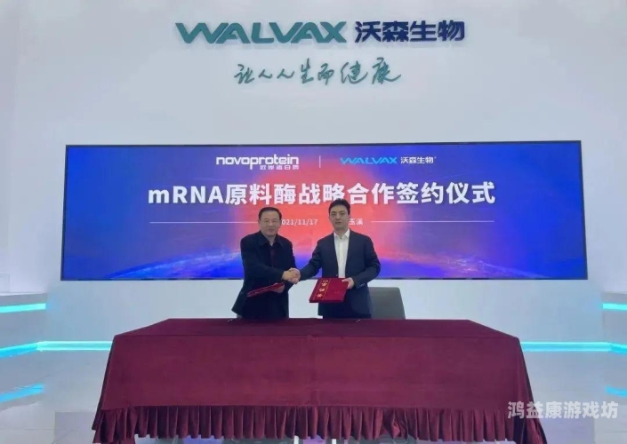 国产精品视频的崛起，从内容创新到市场认可