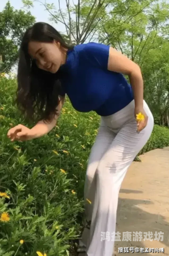 丰满的熟妇岳中文字幕，深度解析与观看指南