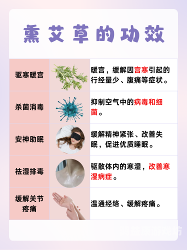 艾草精品视频一区二区探索艾草文化，精品视频一区二区深度解析