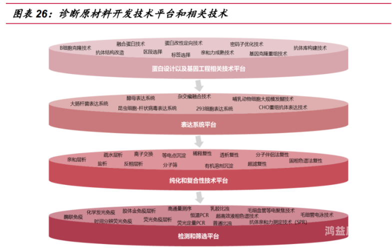 国产精品天天免费更新，打造高品质内容生态