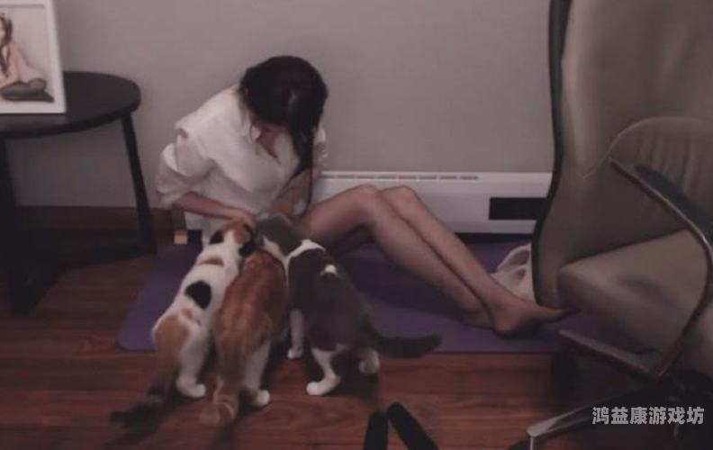 无码不卡中文字幕，高清影视体验的新标准最好看的2019免费观看