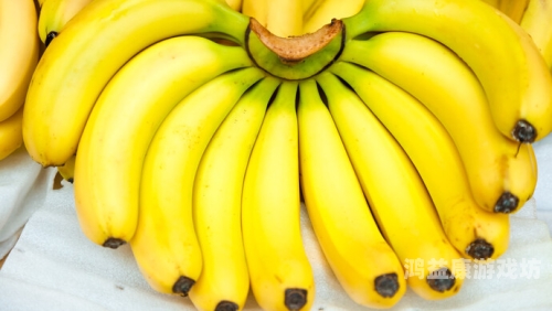 香蕉av电香蕉AV电，探索香蕉在电子科技中的创新应用