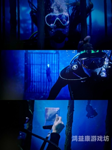 www亚洲影院探索亚洲影院的魅力，www亚洲影院的文化与历史