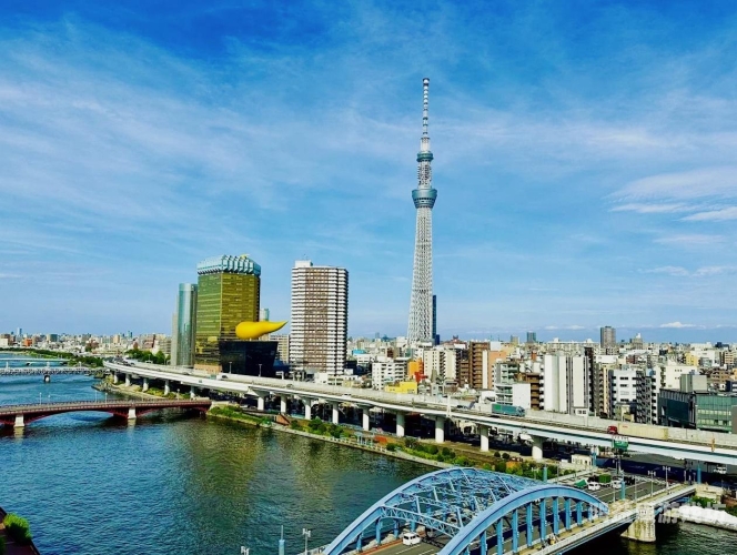 一本之道中文日本精品，探索日本文化的独特魅力与深厚底蕴