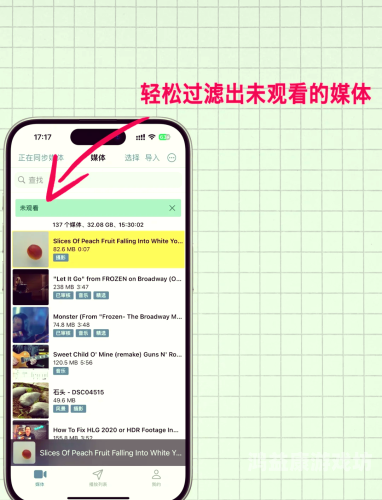 亚洲精品无播放器播放，探索新时代视频播放技术亚洲精品无播放器播放器