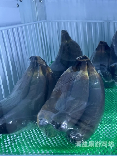 成熟女人网站香蕉成熟女人网站香蕉，探索女性水蜜桃在线播放与生活的新视角