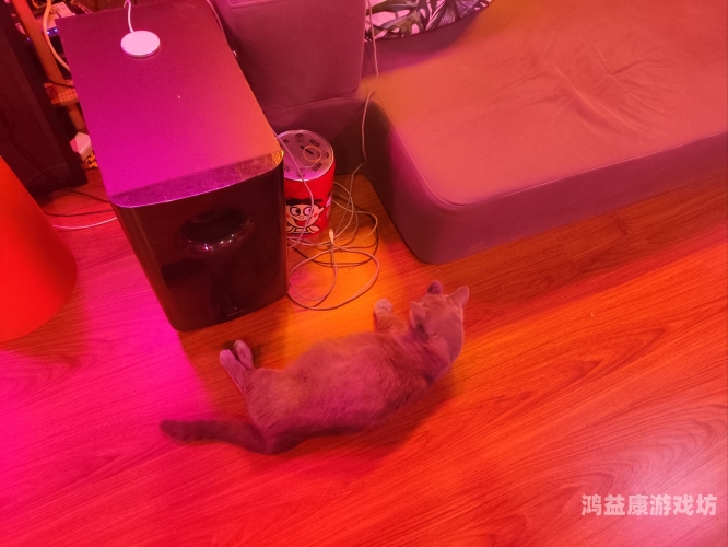 日本在线播放不卡一区二区三区日本在线播放不卡一区二区三区，流畅观影体验的终极指南