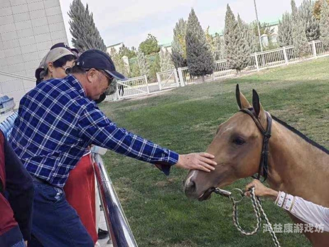 中亚精品伦理在线播放，探索多元文化的深度与魅力中亚全集