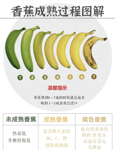 香蕉的营养价值与水蜜桃在线播放益处，全面解析香蕉对成人的长期影响