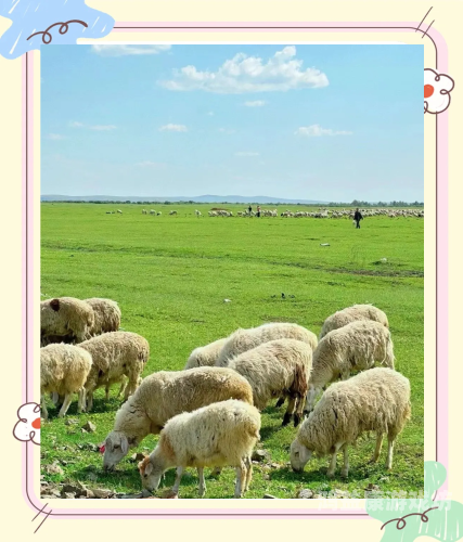 久久青青草原精品国产不卡久久青青草原精品国产不卡，探索中国草原文化的魅力与传承