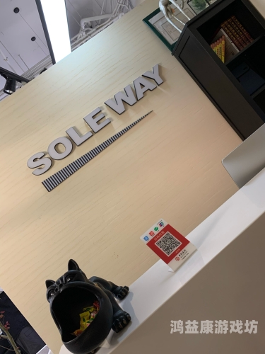 国产在线精品一区二区不卡顿，用户体验的全面升级