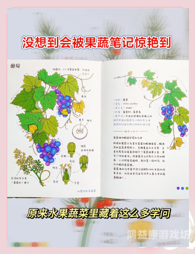 伊人久久综合色，探索色彩美学与情感表达的完美融合